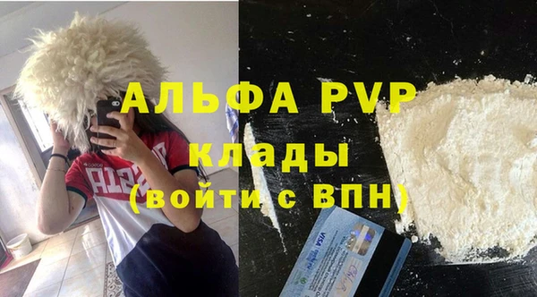 мдпв Богданович